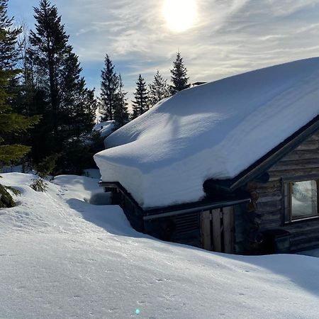 Villa Saarua By The Slopes Ski In, Family & Bike Park, Hike Trails, National Park, Wifi - Lapland Villas روكا المظهر الخارجي الصورة