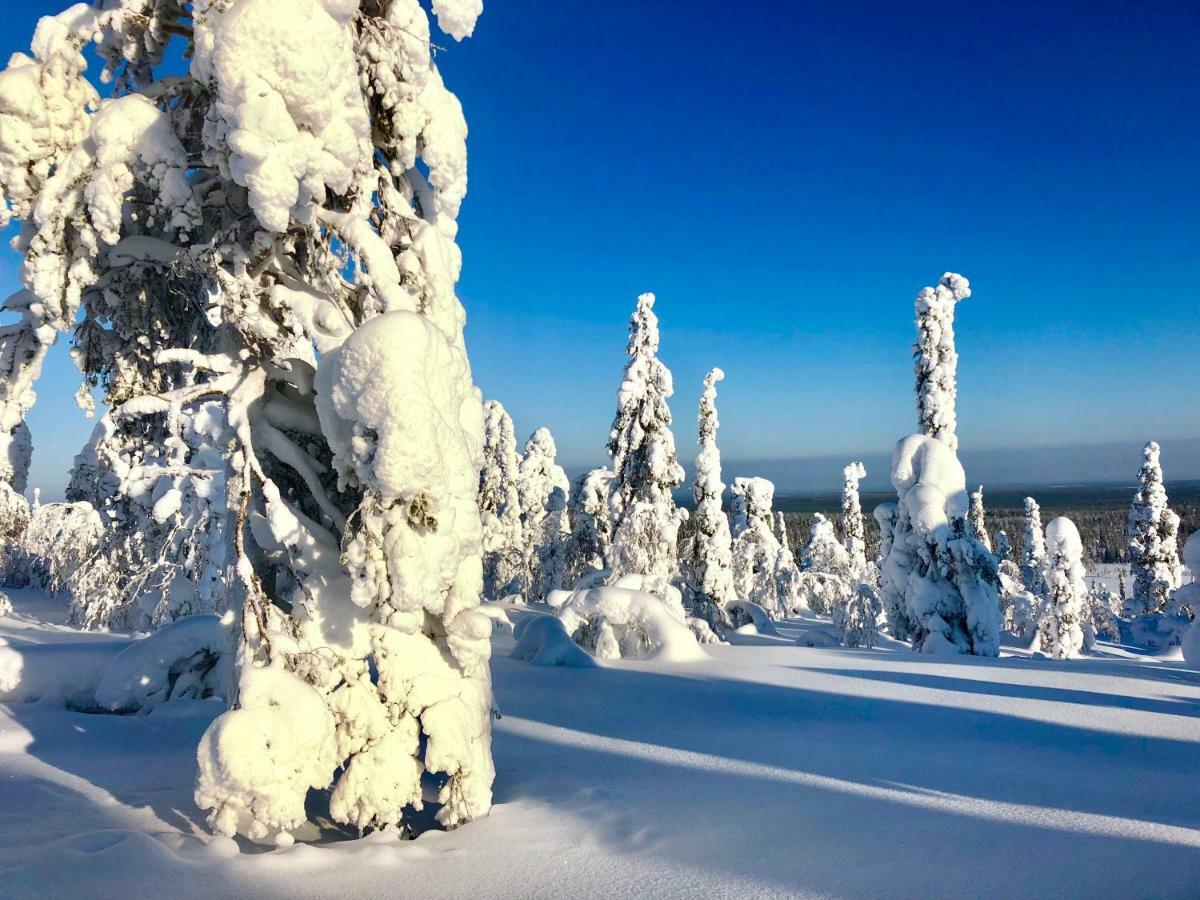 Villa Saarua By The Slopes Ski In, Family & Bike Park, Hike Trails, National Park, Wifi - Lapland Villas روكا المظهر الخارجي الصورة
